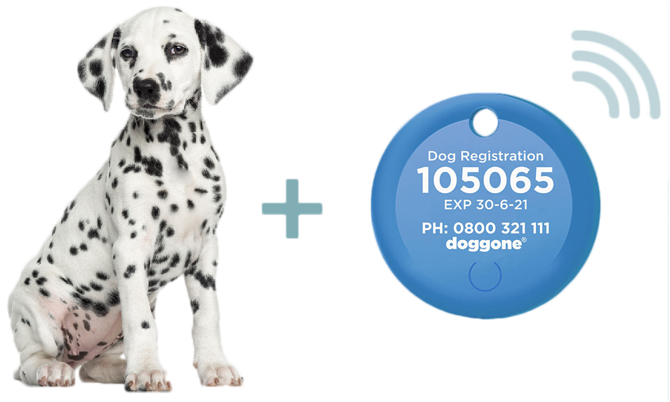 pet registration tag