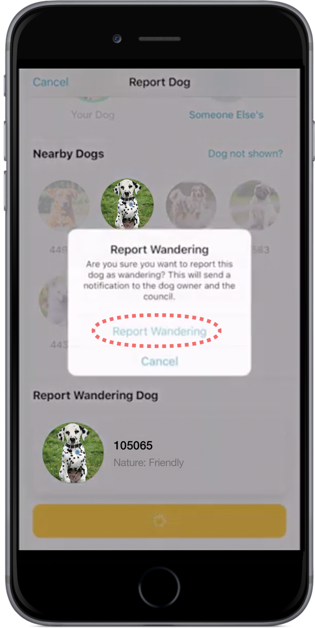 Doggone’s ‘Report a Wandering Dog’ feature has been met with great enthusiasm! Not only does it allow dog owners with the App to assist in reuniting lost dogs with their owners, it also allows members of the wider community to actively assist in the reuniting process – all they need is the App installed on their phone.