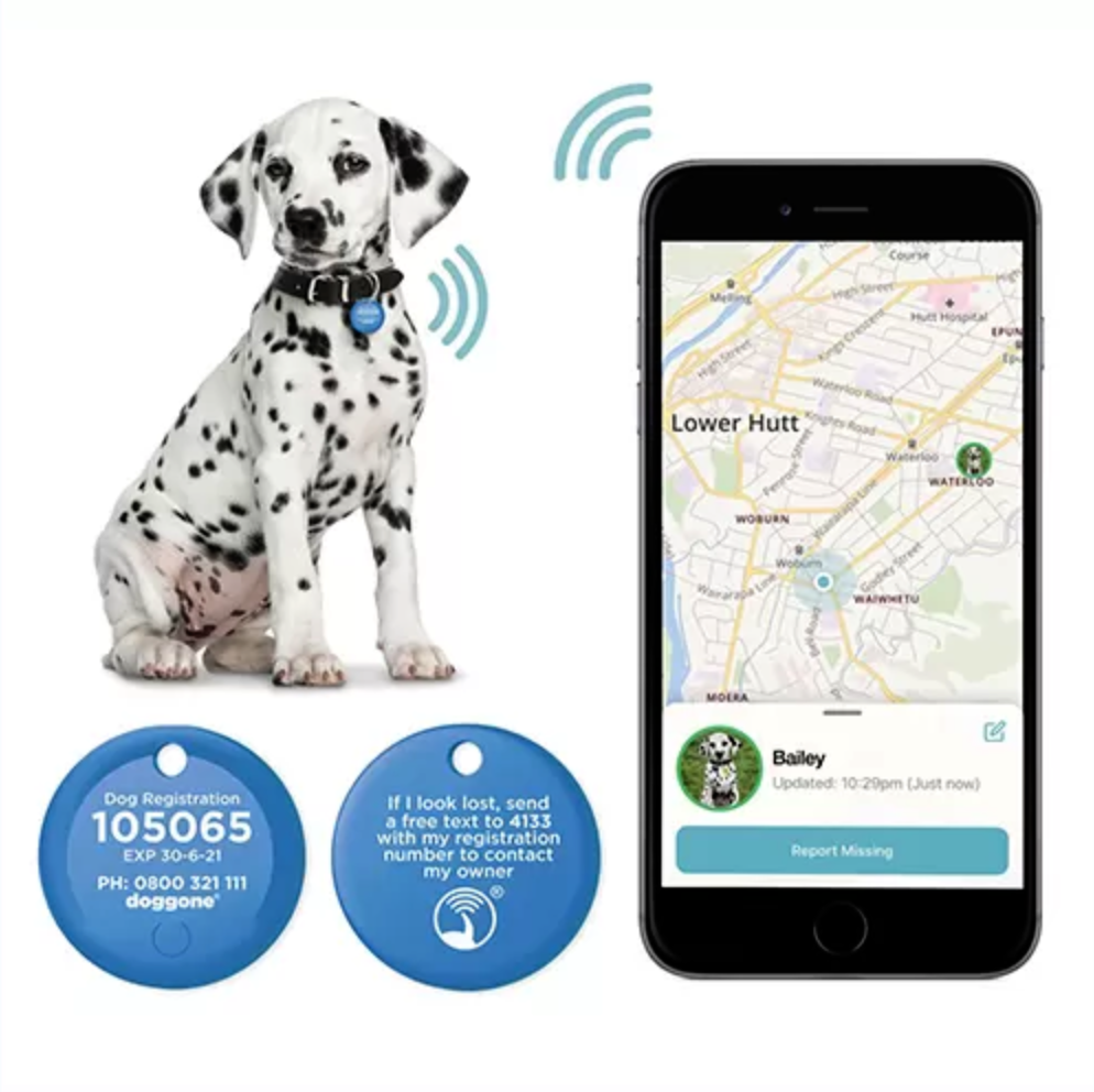 Doggone’s vision has always been to use technology to help reunite lost dogs with their owners – quickly and safely!
