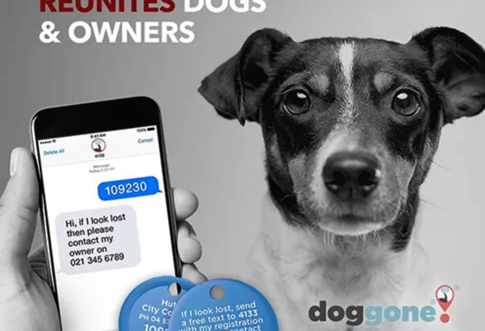Great support from leading SMS provider for Doggone’s text reunite service
