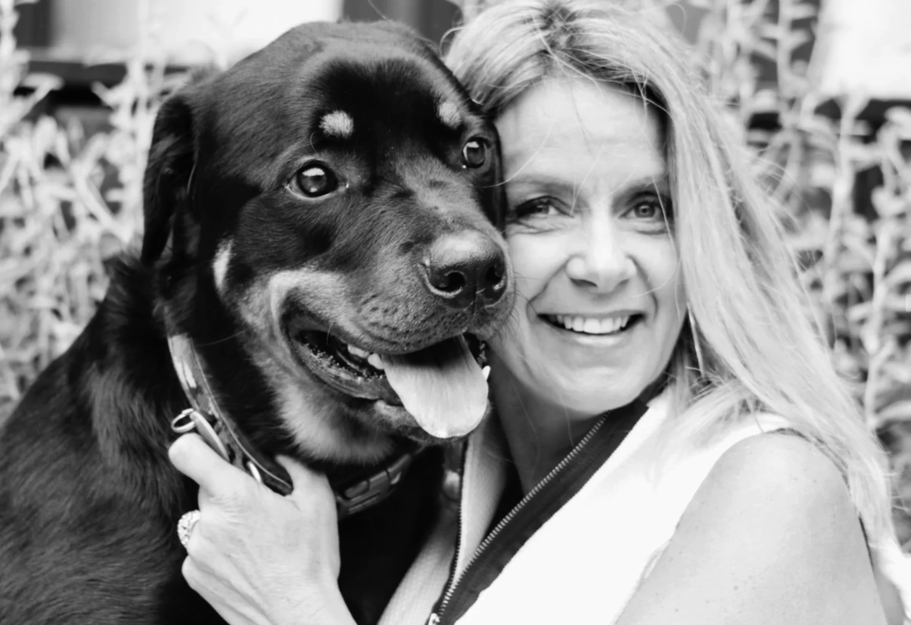 Doggone's CEO and Founder was approached by Style Magazine who had heard about the valuable work that Doggone does and wanted to know our reason behind the idea ….